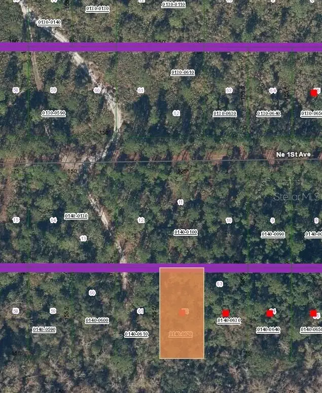 Rio St, Palatka, FL 32177 - Image #3