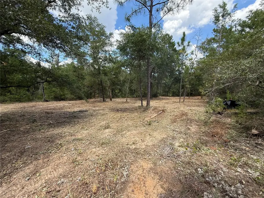 132 Illinois Street, Interlachen, FL 32148 - #3