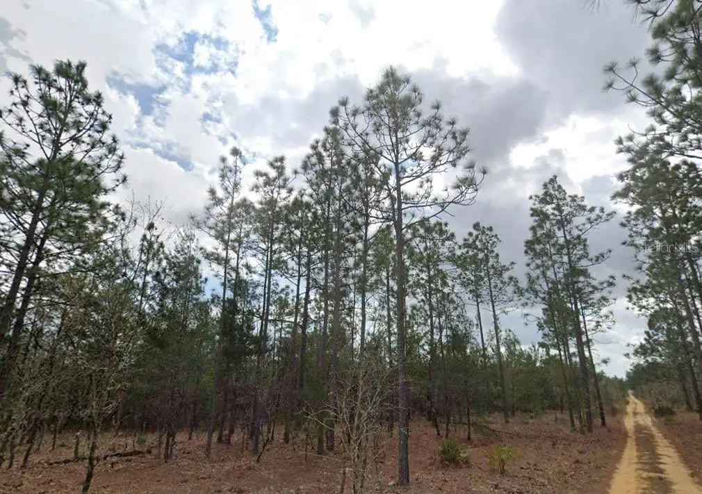 Lime Way, Interlachen, FL 32148 - Image #1