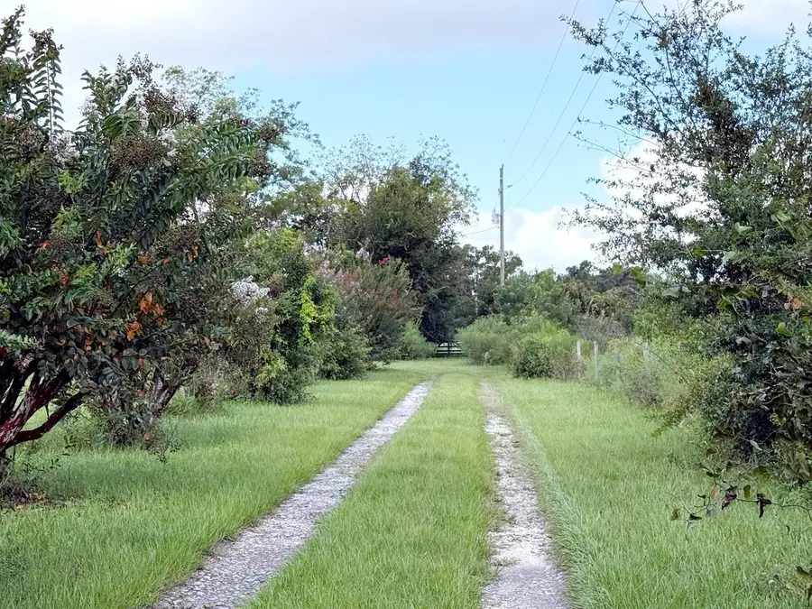 6896 Cr 619, Bushnell, FL 33513 - Image #3