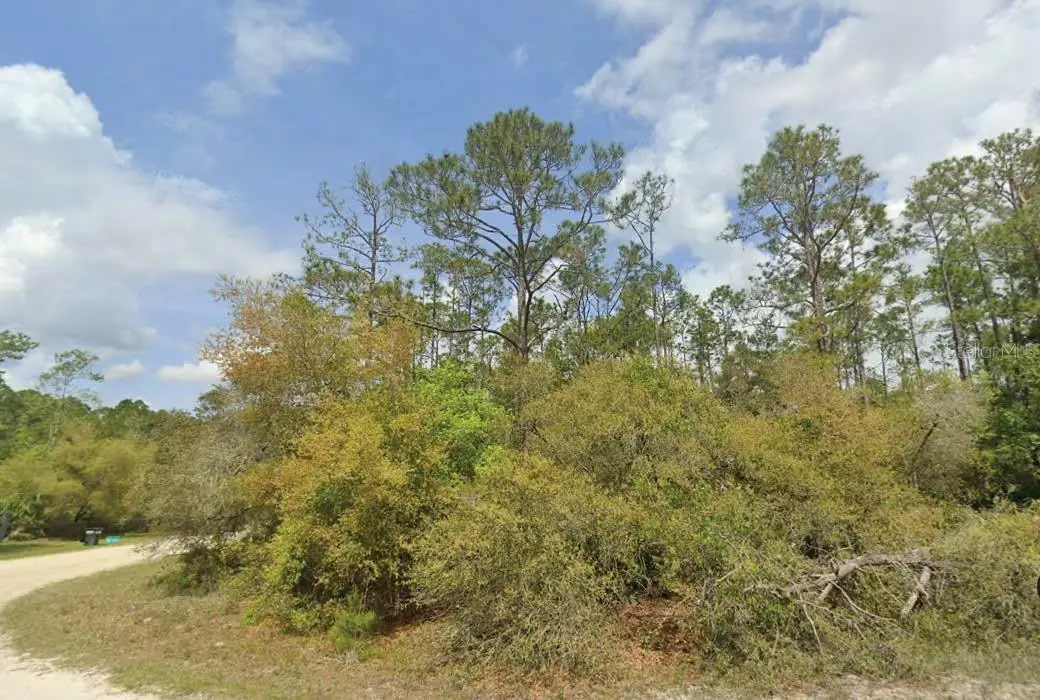 Dolphin Drive, Georgetown, FL 32139 - Image #1