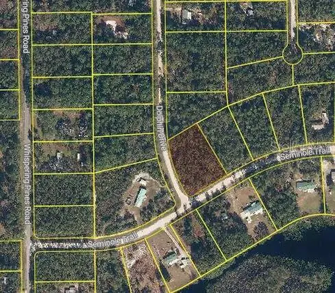 Dolphin Drive, Georgetown, FL 32139 - Image #3