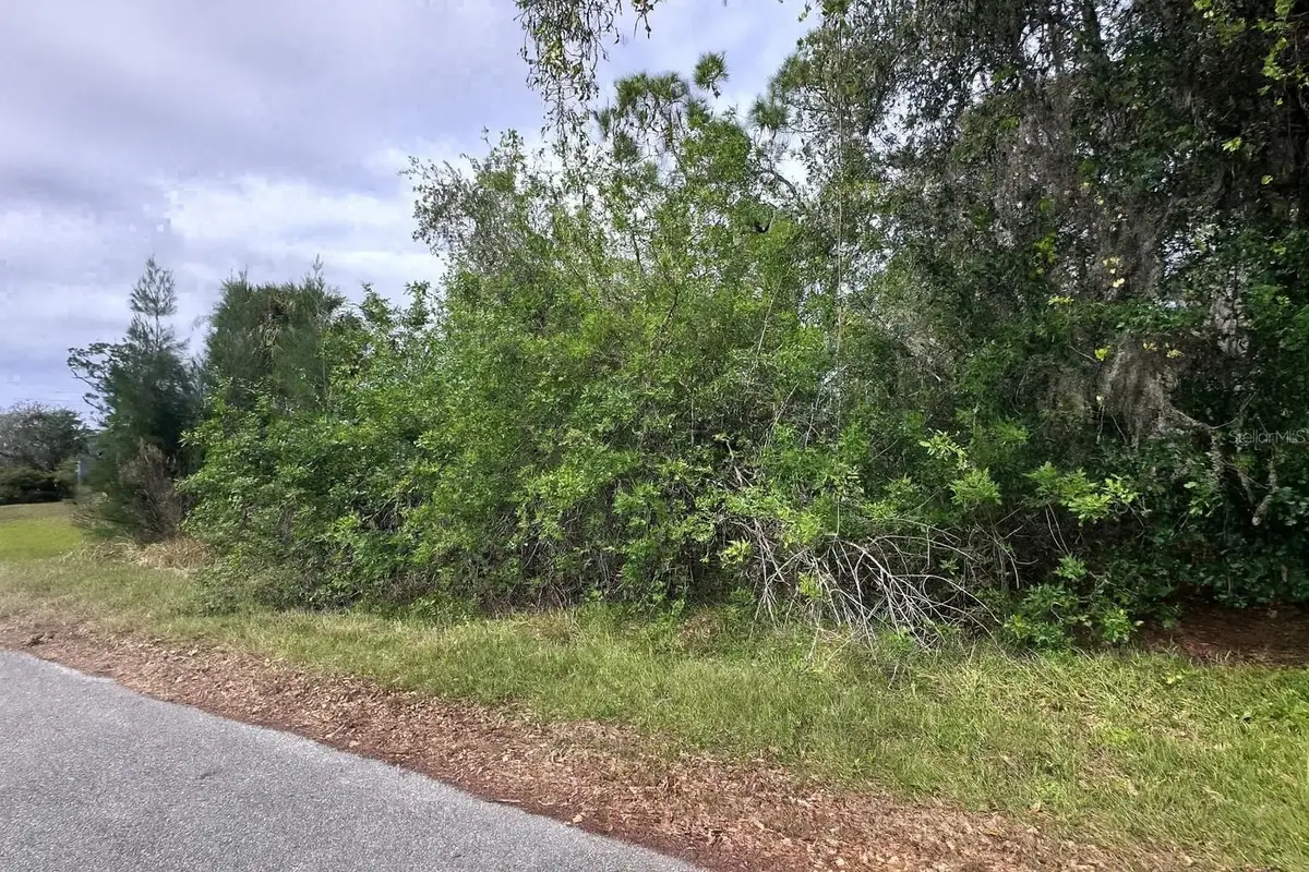 23350 Buckner Avenue, Punta Gorda, FL 33980 - #1