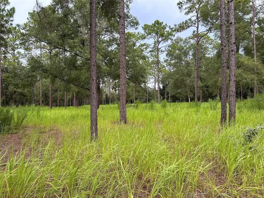 16051 SW 44 Street, Ocala, FL 34481 - #2