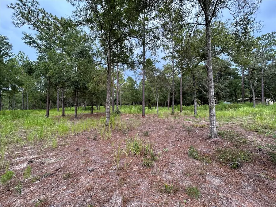 16051 SW 44 Street, Ocala, FL 34481 - #3