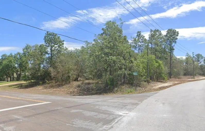 90 Cypress Boulevard E, Homosassa, FL 34446 - Image #3