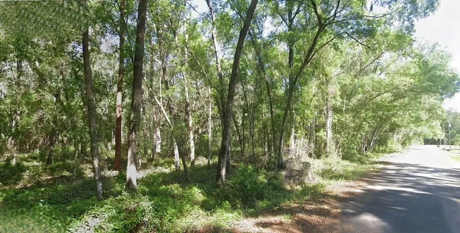 Sequoia Loop Trace, Ocklawaha, FL 32179 - Image #2