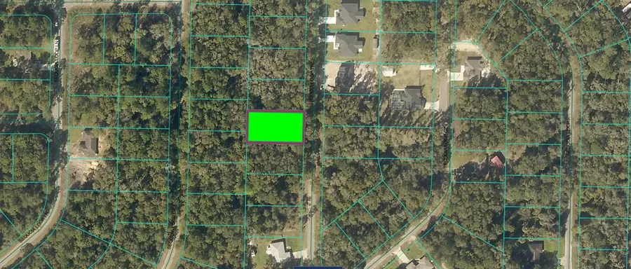 Sequoia Loop Trace, Ocklawaha, FL 32179 - Image #3