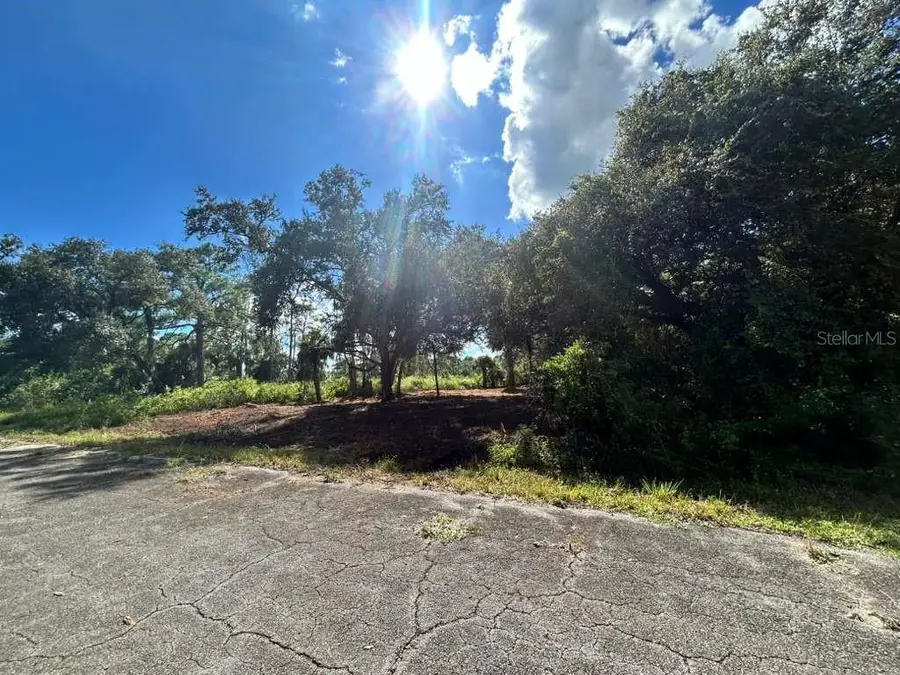 706 Eugene Cernan Drive, Labelle, FL 33935 - Image #2