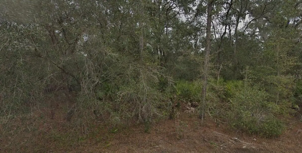 130 & 132 Bream Drive, Interlachen, FL 32148 - Image #1