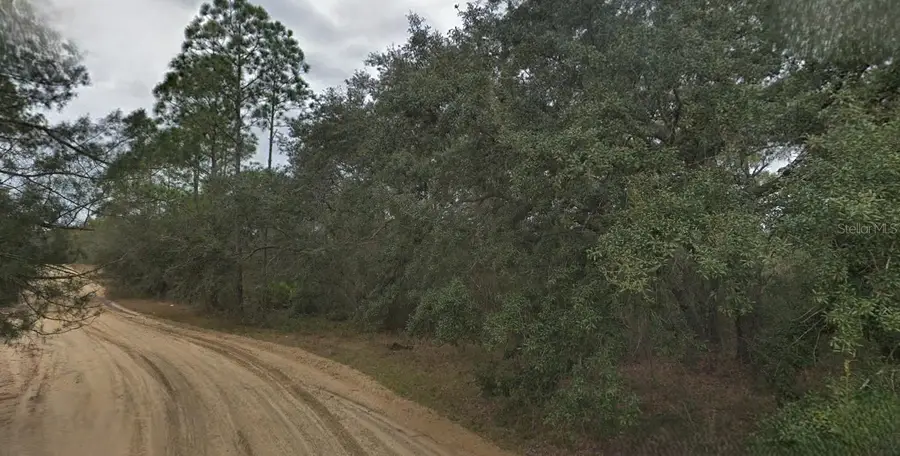 130 & 132 Bream Drive, Interlachen, FL 32148 - Image #2