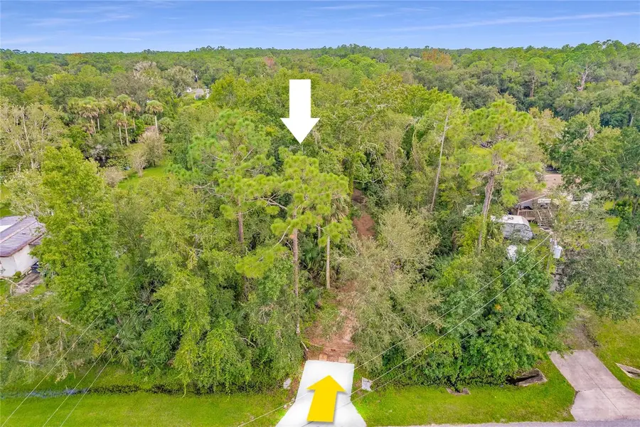 25212 Luke Street, Christmas, FL 32709 - Image #3