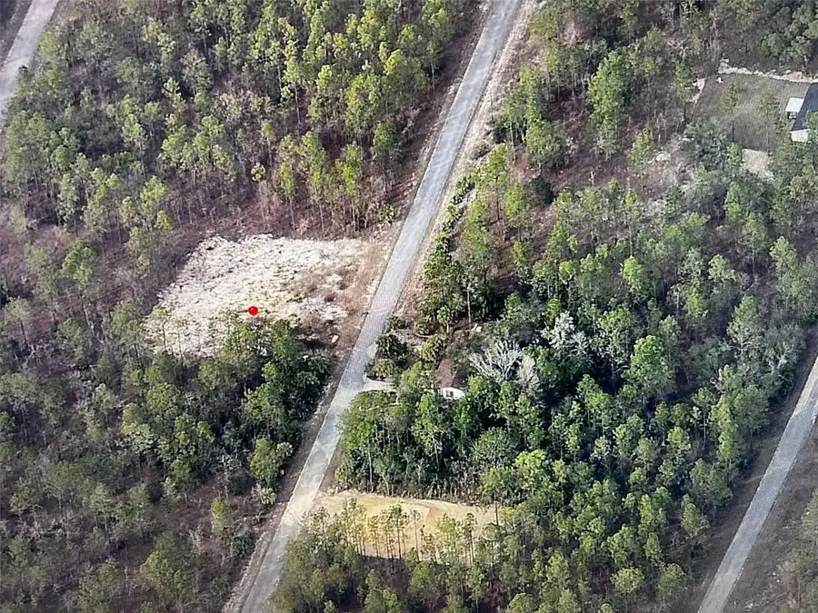 Narcissus, Dunnellon, FL 34431 - Image #2