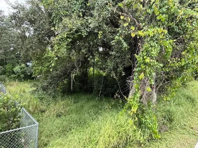 10th Street S, Haines City, FL 33844 - Image #3