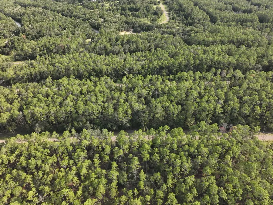 598 E Marquette Lane, Dunnellon, FL 34434 - Image #2