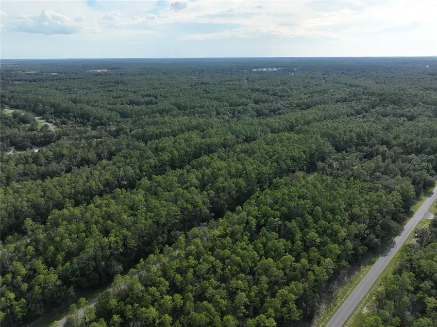 598 E Marquette Lane, Dunnellon, FL 34434 - Image #3