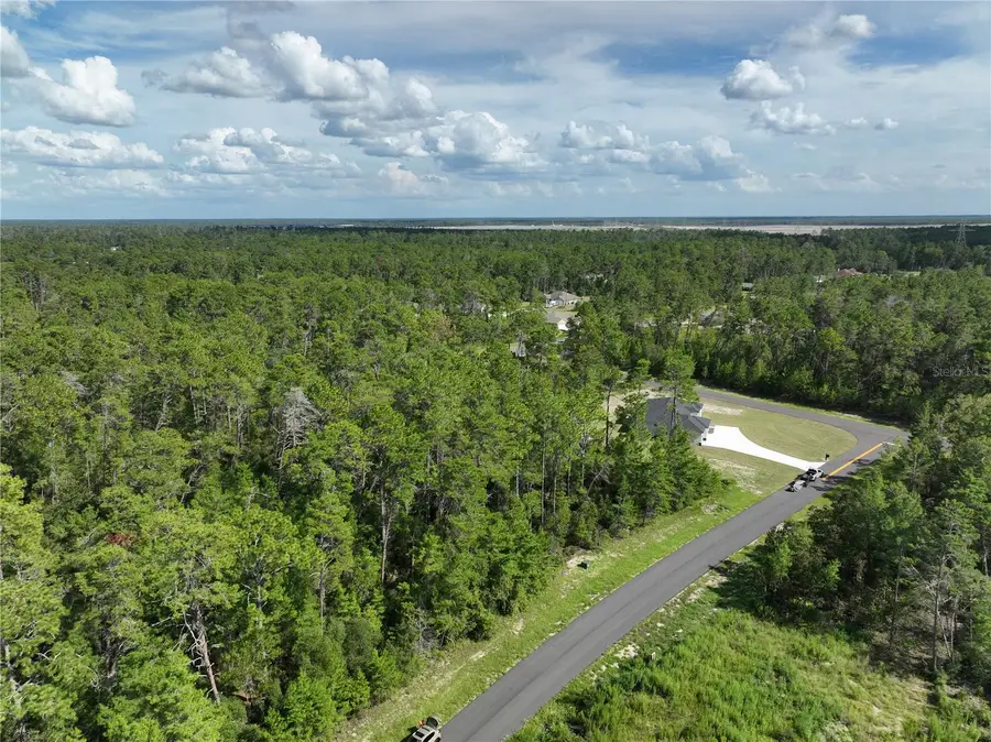 Undetermined, Ocala, FL 34473 - #2