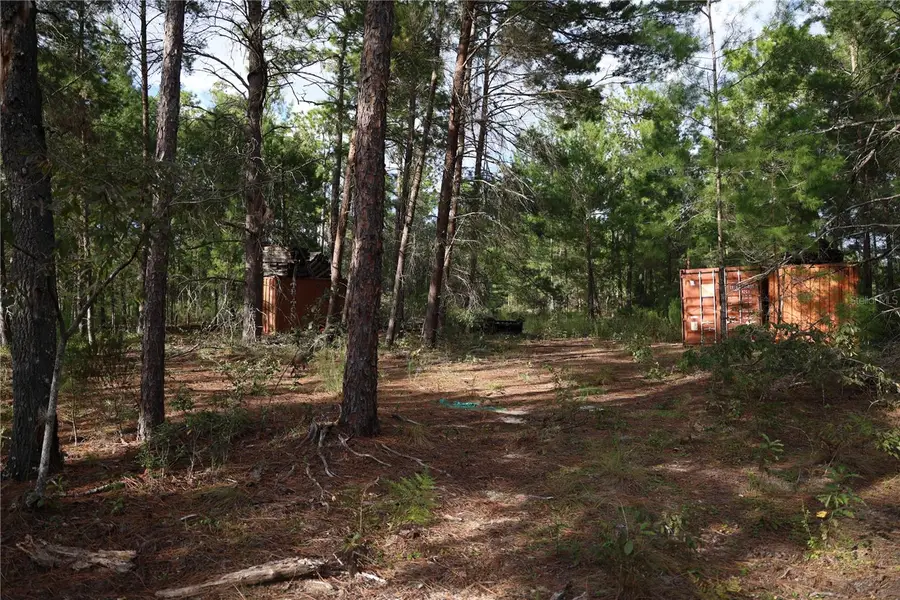 403 Melrose Landing, Hawthorne, FL 32640 - Image #3