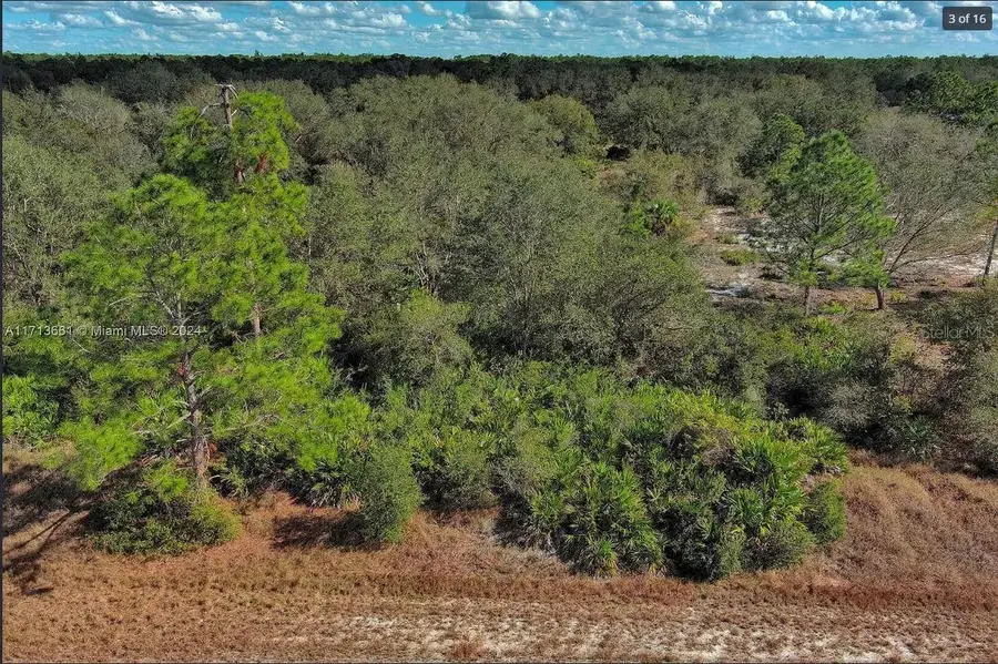 1514 Poinsettia Avenue, Lehigh Acres, FL 33972 - Image #3