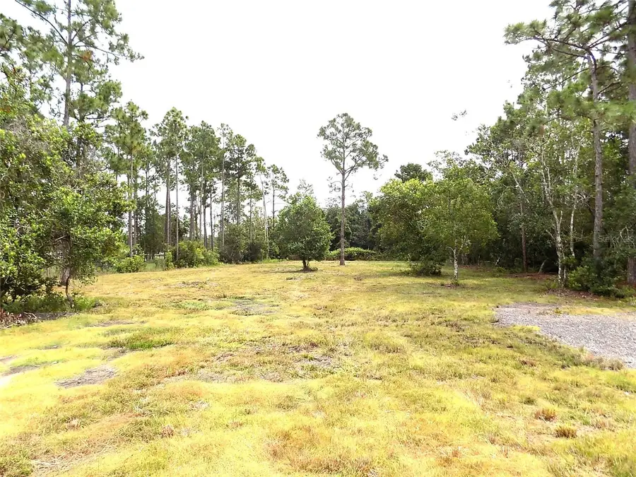 0 Bronco Drive, Saint Cloud, FL 34771 - Image #3