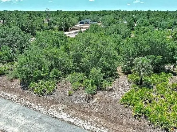 603 Fitch Avenue, Lehigh Acres, FL 33972 - Image #2