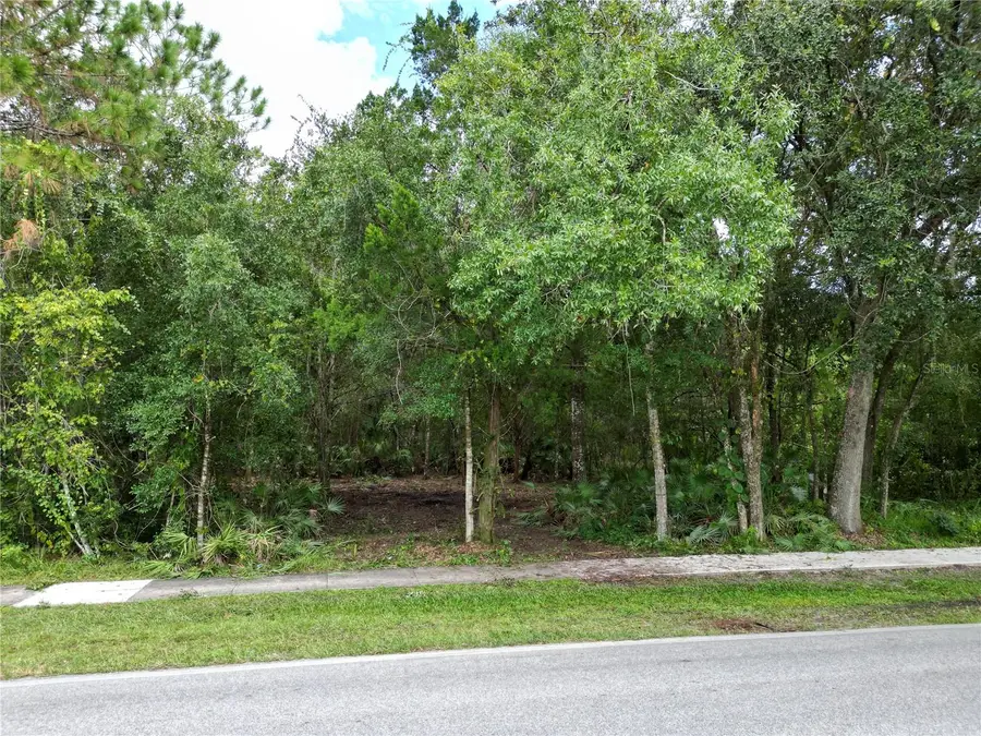 2039 N 6th St, Orlando, FL 32820 - Image #3