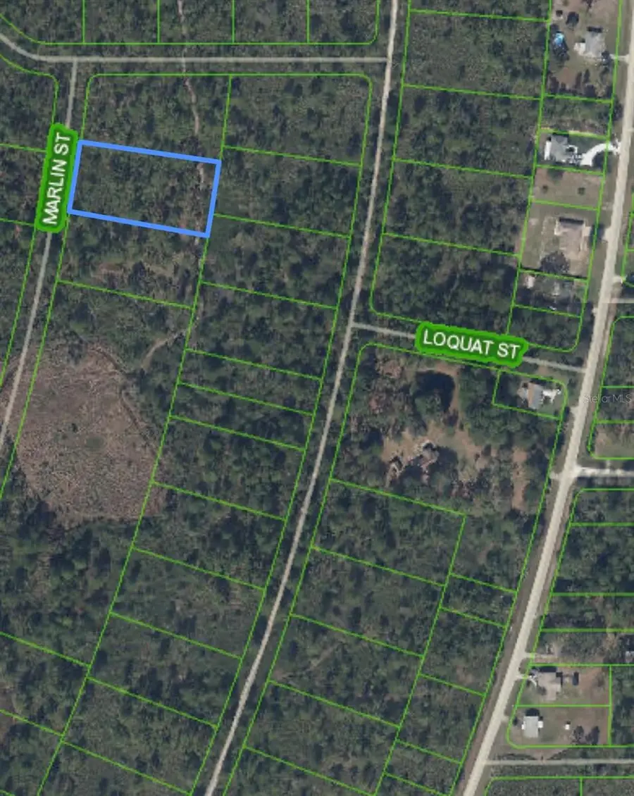 745 Marlin Street, Lake Placid, FL 33852 - Image #2