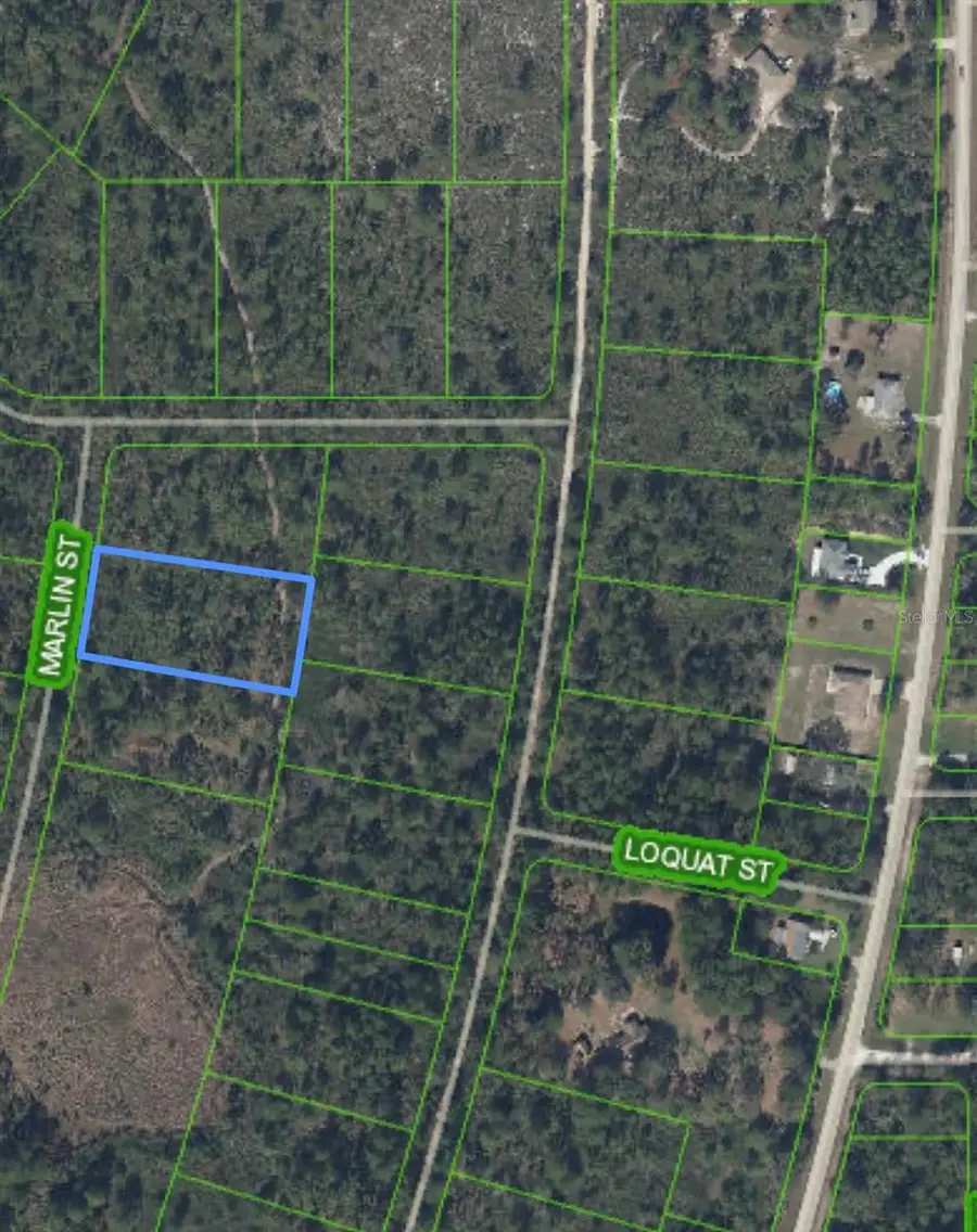 745 Marlin Street, Lake Placid, FL 33852 - Image #3