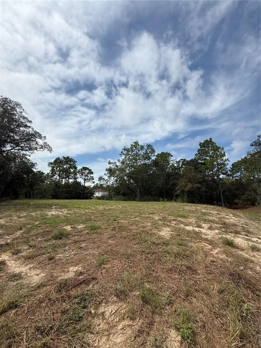 813 W Haguer Place, Dunnellon, FL 34434 - Image #2