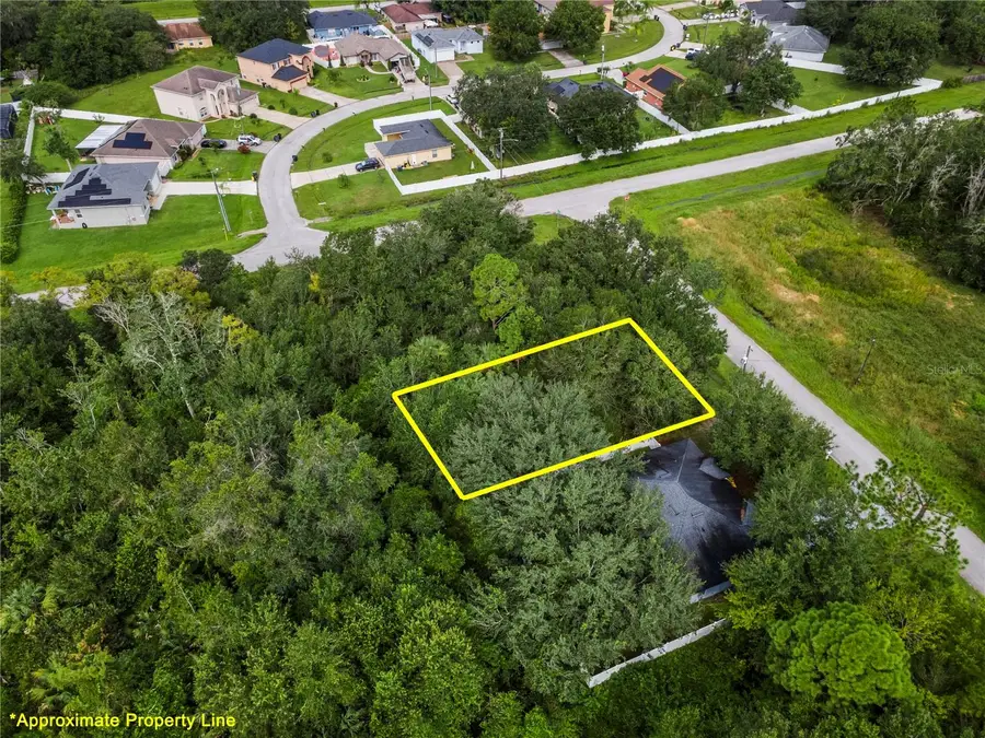 Starling Ct., Poinciana, FL 34759 - #3