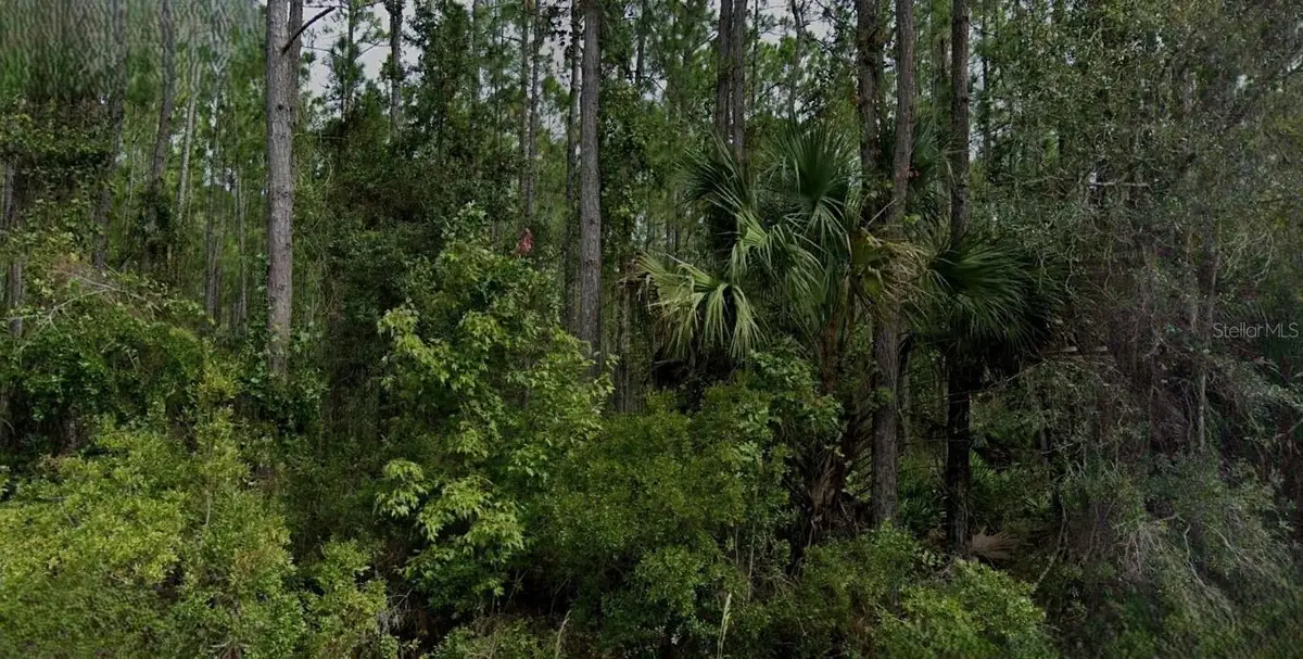 Song Sparrow Street, Palatka, FL 32177 - Image #1