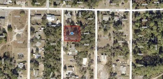 33702 Verda Avenue, Leesburg, FL 34788 - Image #2