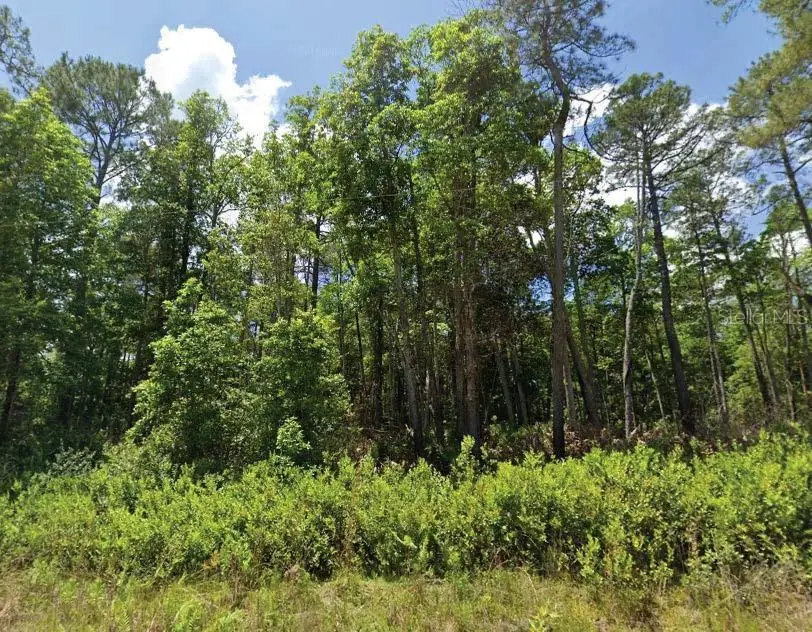 101 & 103 Longhorn Lane, Florahome, FL 32140 - Image #1