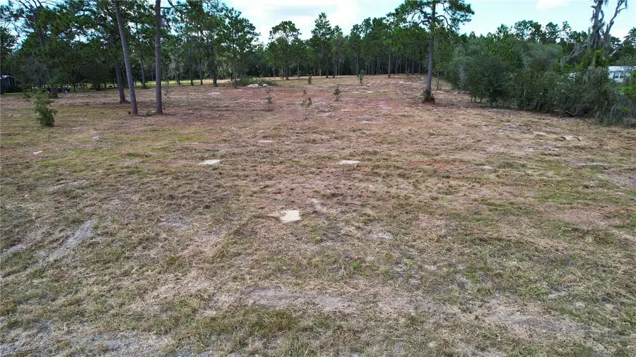 53rd Lane, Morriston, FL 32668 - Image #3