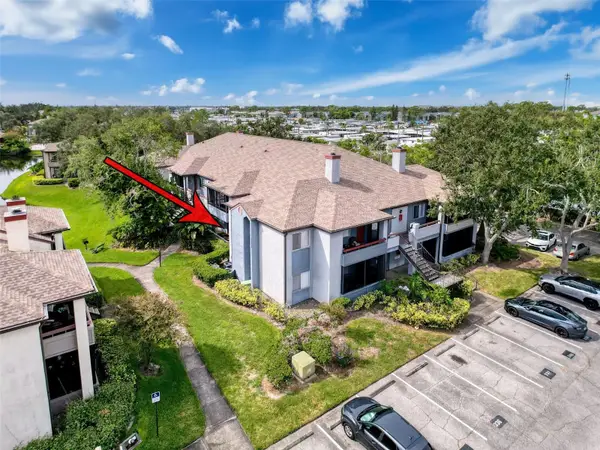 10265 Gandy Blvd N #1411, ST PETERSBURG, FL 33702