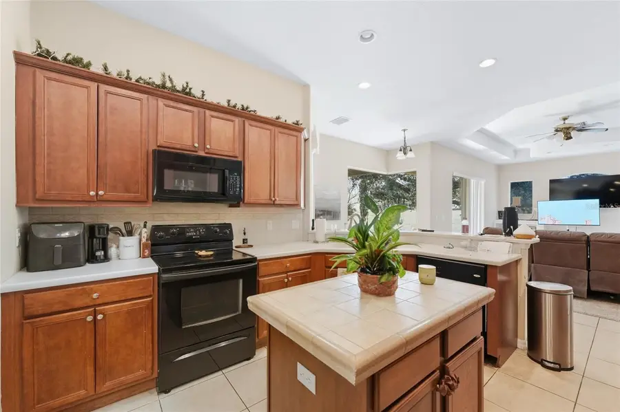 33213 Irongate Drive, Leesburg, FL 34788 - Image #3