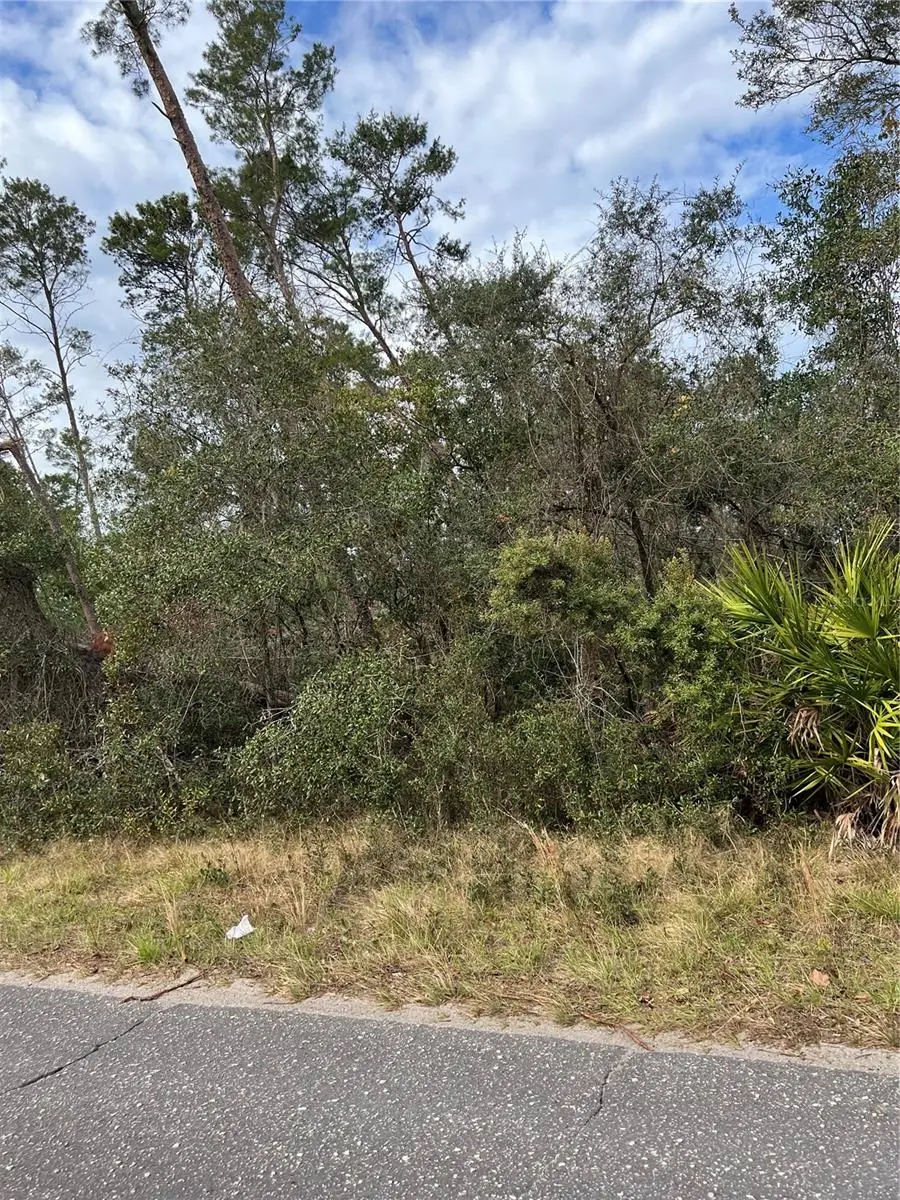Fishermans Road, Paisley, FL 32767 - Image #2