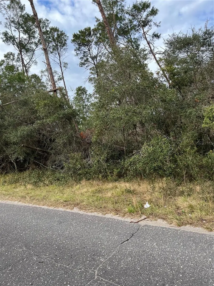 Fishermans Road, Paisley, FL 32767 - Image #3