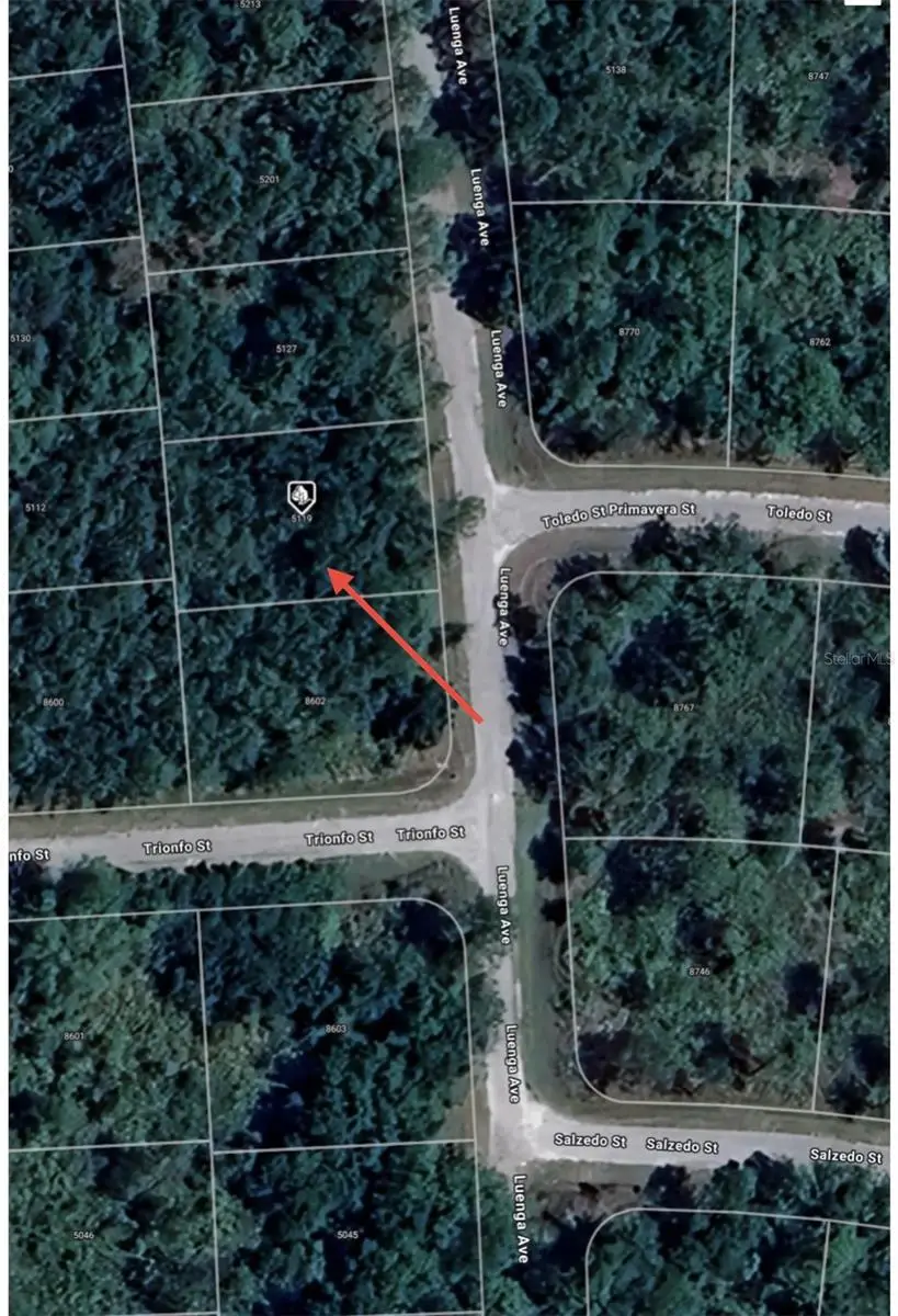 5119 Luenga Avenue, Sebring, FL 33872 - Image #2