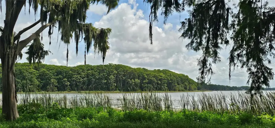 Pine Island Drive, Leesburg, FL 34788 - Image #3