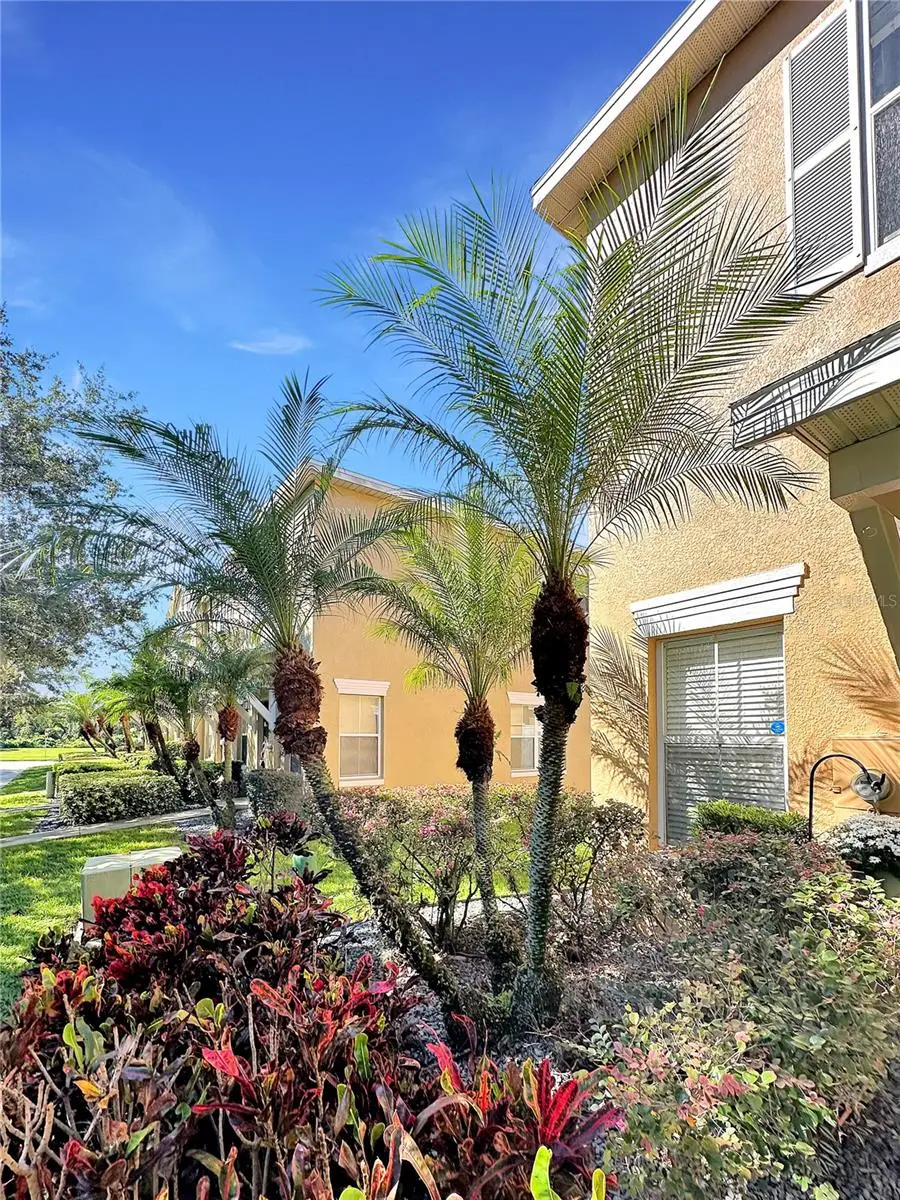 224 Deepcove Road, Winter Garden, FL 34787 - Image #2