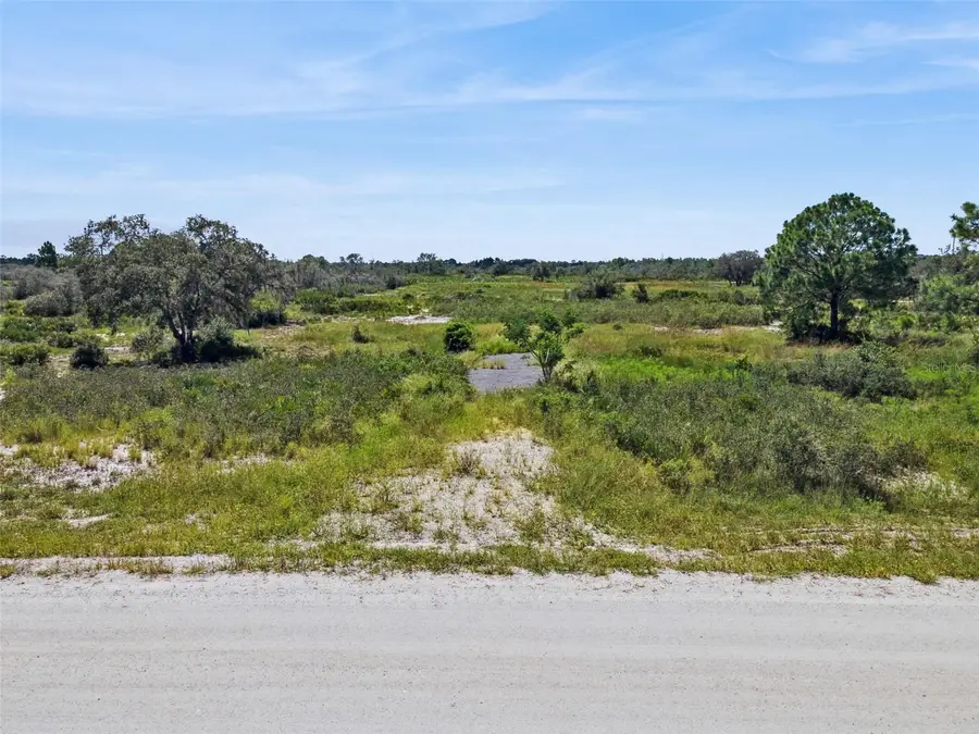 2253 W Shula Road, Avon Park, FL 33825 - Image #3