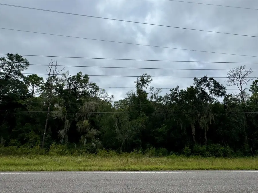 Southwest Hwy 484, Dunnellon, FL 34432 - Image #2