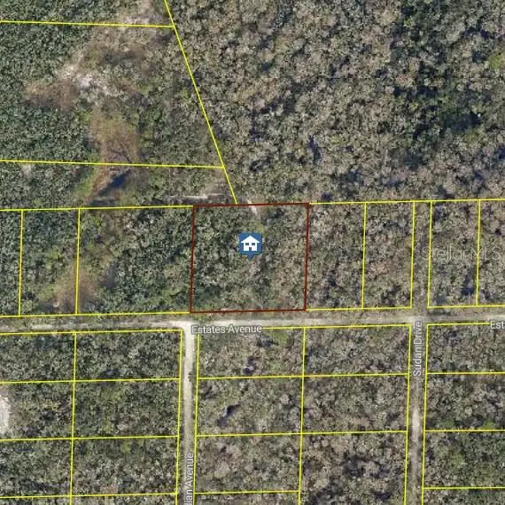 Rose Bloom Ave, WEBSTER, FL 33597