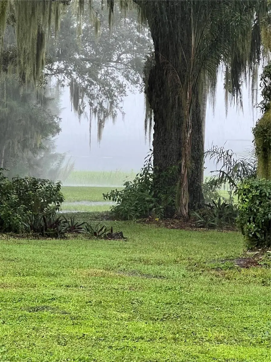 9036 Ogilvie Drive, Orlando, FL 32819 - Image #3