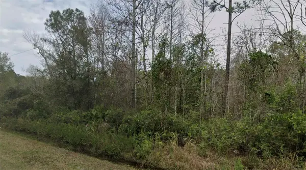 4260 Benedict Street, HASTINGS, FL 32145