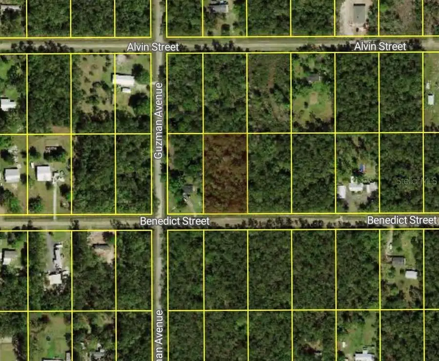 4260 Benedict Street, Hastings, FL 32145 - Image #2