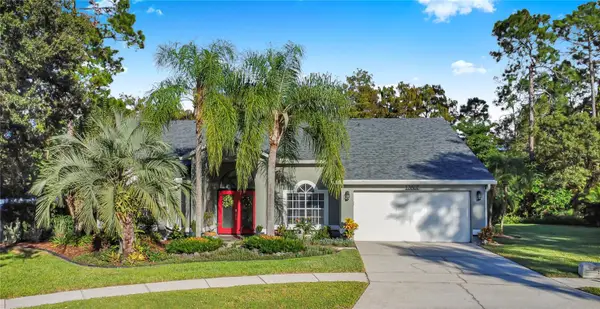 13807 Forestside Court, ORLANDO, FL 32826