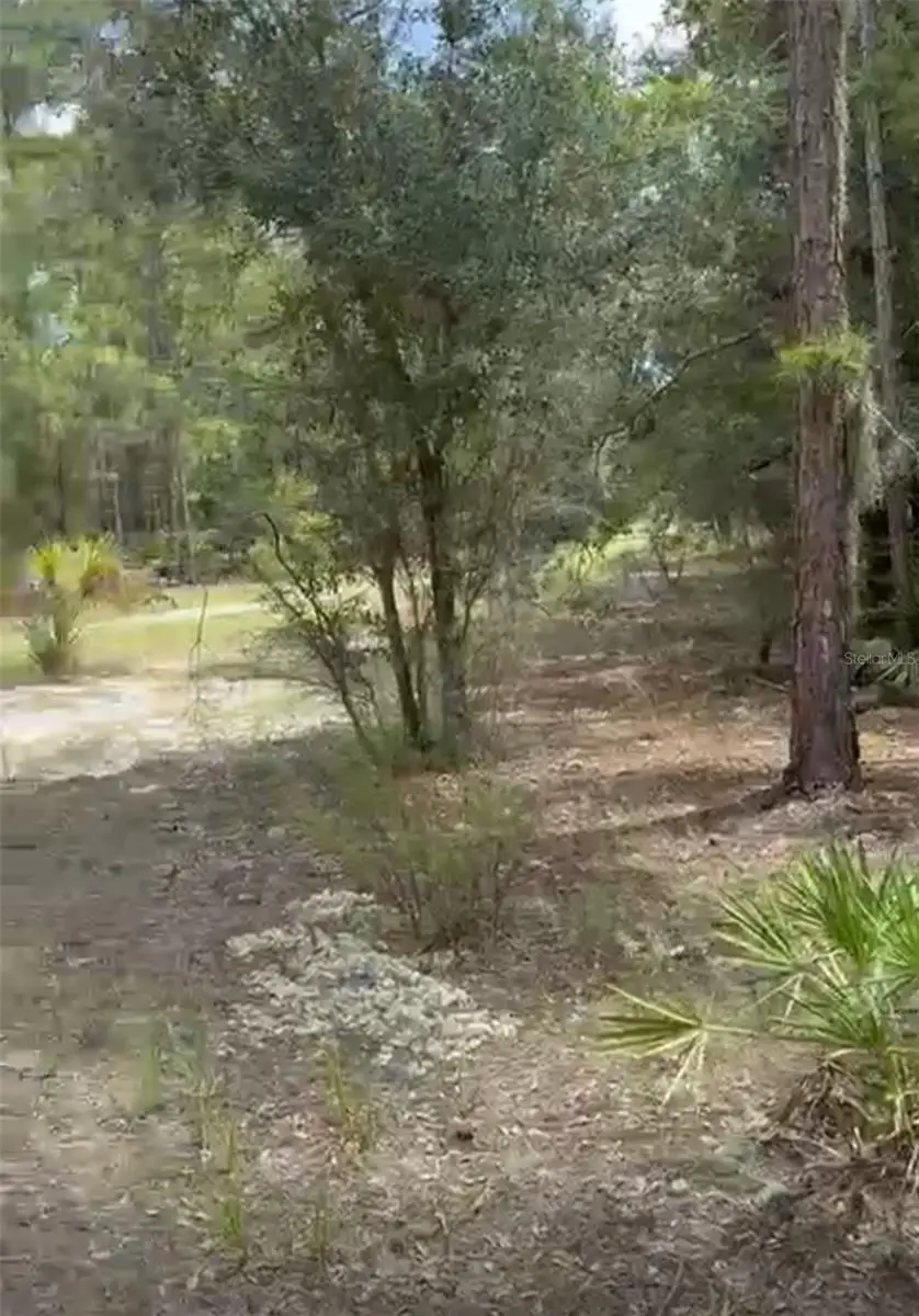 Orchid Drive, Indian Lake Estates, FL 33855 - Image #2