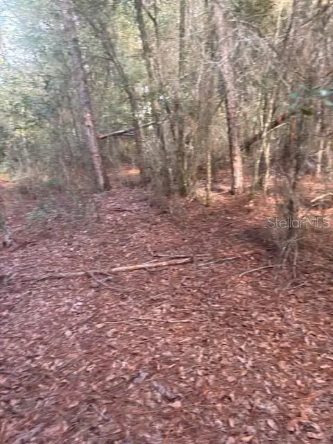 000 Stardust Lane, Melrose, FL 32666 - Image #2